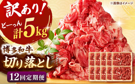 【全12回定期便】【訳あり】博多和牛 切り落とし 5kg(500g×10p）  桂川町/株式会社 MEAT PLUS[ADAQ131]切り落とし肉 牛肉 国産 小分け 大容量