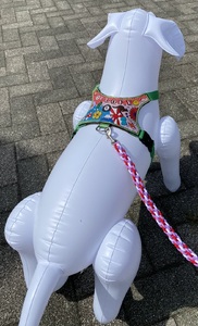 小型犬ハーネス首輪 (a96-001)