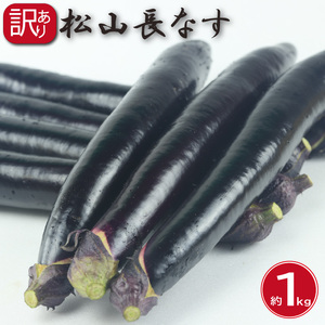 訳あり 松山長なす 約1kg | なすなすなすなすなすなすなすなす 【VEG069】