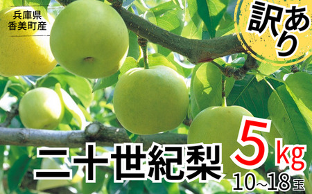 【訳あり 梨 20世紀梨 5kg（10～18玉）】9/9が最終受付です サイズバラつき有り（L～5L）農家応援 傷あり 不揃い ご家庭用 大人気 二十世紀梨 果肉はしっかり シャキシャキの食感 ほどよ