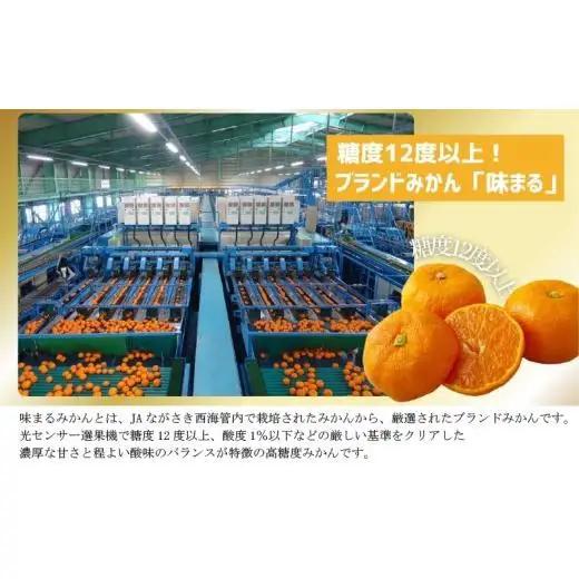 【 早期受付 】西海みかん 味まる 3kg 糖度12度以上 ブランドみかん 佐世保 【 11月発送 】