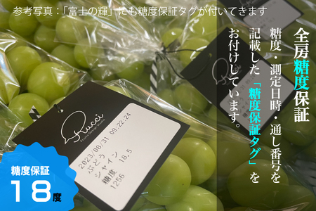 【糖度18度保証付】富士の輝・シャインマスカット食べ比べ 合計約2.1kg 2～5房 FN-Limited 104-020-FN | 【数量限定】旬の美味しいフルーツだけをお届けします【ルッチ Ruc