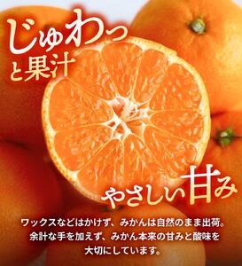 大好き みかん 5kg ご家庭用 サイズ混合 / 温州みかん 有田みかん 甘い 柑橘 和歌山 ※2026年11月中旬から2027年1月上旬に順次発送予定 【nkh004-c-5】