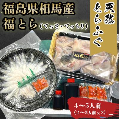 ふるさと納税 相馬市 【常磐もの新名物!福とら】 天然とらふぐ てっさ てっちり鍋セット 4-5人前 ふぐ刺し ふぐちり