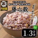 【ふるさと納税】＜内容量が選べる！＞藤六穀(計1～3袋) 六穀 雑穀 ざっこくまい 棚田米 お米 米【TT005・TT004】【一般社団法人 ツーリズム高千穂郷】