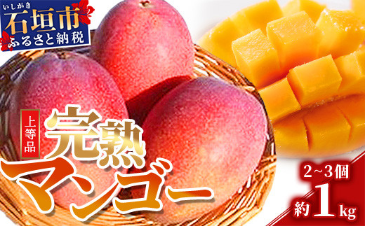 
【先行予約】石垣島産 完熟マンゴー 約1kg エコ箱入り（2～3個入り）2024年6月中旬～順次発送 SI-31-1
