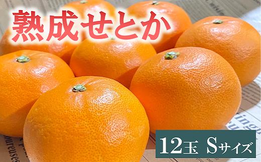 
            せとか 1.4kg 12玉 みかんのおと みかん 愛媛 先行予約 【2026年4月以降発送】 数量限定 愛媛県産 人気 柑橘 伊予市｜B322
          