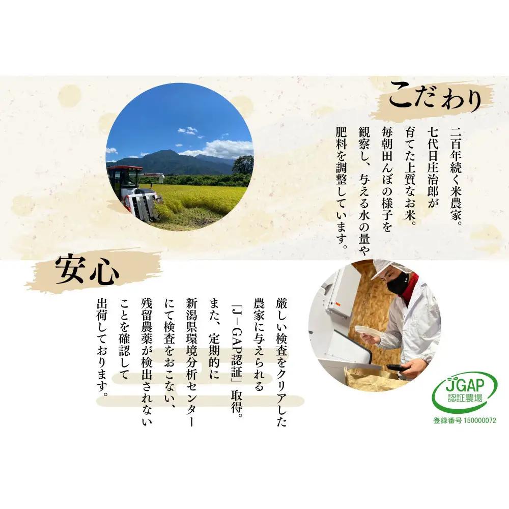 【令和8年産】定期便10kg×12回 ごはんソムリエの南魚沼産コシヒカリ　100％塩沢産【定期便 銘柄米 ブランド米 精米 こしひかり コシヒカリ魚沼産 新潟米 新潟県産 産地直送 ご飯 御飯 ごはん
