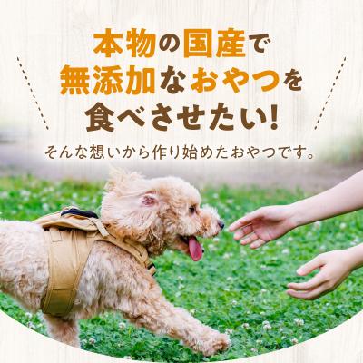 ふるさと納税 余市町 お散歩のお供　犬・猫用おやつ　北海道産無添加小分けパック　ジャーキー4種類×各2_Y078-0005 |  | 01