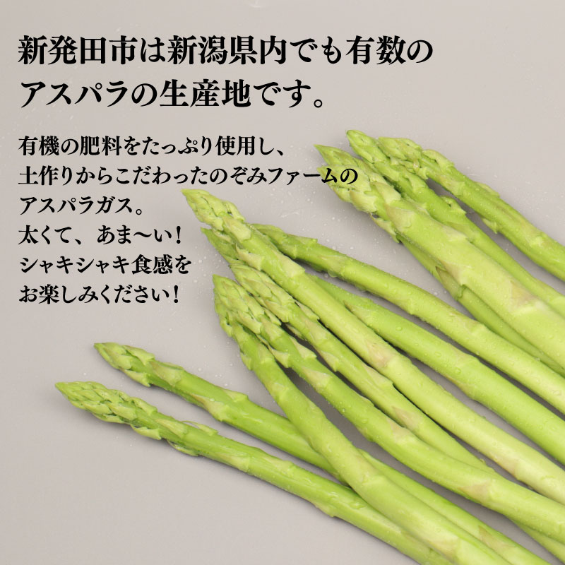 【R8年産先行予約】アスパラガス  1kg  約 40本 野菜 旬 野菜 期間限定 数量限定 甘い 太い 柔らかい 特産品 nozofarm001_01