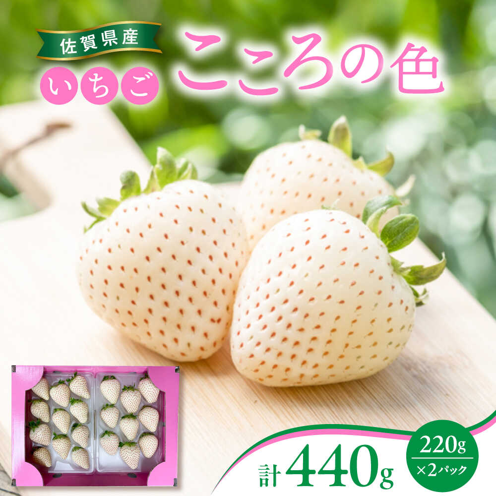 【ふるさと納税】【先行予約】 佐賀県産白いちご 新品種 こころの色 220g×2パック / いちご イチゴ 苺 果物 フルーツ / 佐賀県 / 鐘ヶ江農園[41ASBK003]