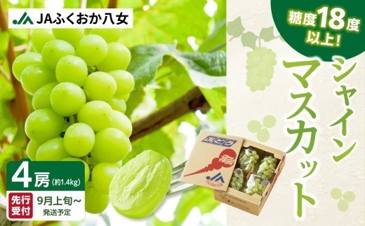 シャインマスカット 350g×4パックJAふくおか八女