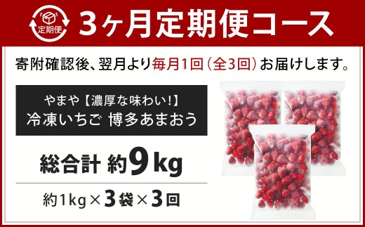 [ 定期1ヶ月毎3回 ] やまや 【 濃厚な味わい！ 】 冷凍いちご 博多あまおう 約3kg （ 1kg × 3袋 ） いちご 苺 イチゴ くだもの 果物 フルーツ あまおう 冷凍 冷凍苺 冷凍イチゴ 国産 福岡県産 ジャム スムージー ヨーグルト 果実 果肉 定期 定期配送
