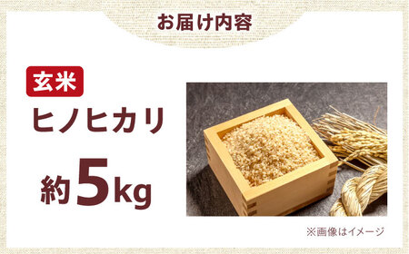 R7年度産 新米 ヒノヒカリ 玄米 5キロ 5kg お米 米 コメ ごはん ご飯 げんまい 大阪府高槻市/高槻あぐり[AOCS031]