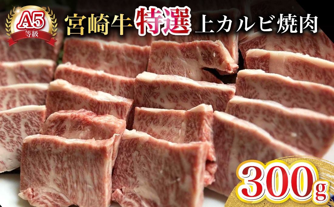 【新鮮チルド発送!!】A5等級宮崎牛特選上カルビ焼肉 300g（黒毛和牛 牛肉 宮崎牛 赤身 カルビ 焼肉用 宮崎県）