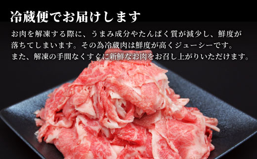 飛騨牛 4等級以上 切り落とし 560g 牛肉 和牛 肉 切落し ブランド牛 4等級 5等級 国産 切落とし 切り落し 切落し 人気 おすすめ 薄切り 岐阜 東白川村 すき焼き お取り寄せ 中濃ミート