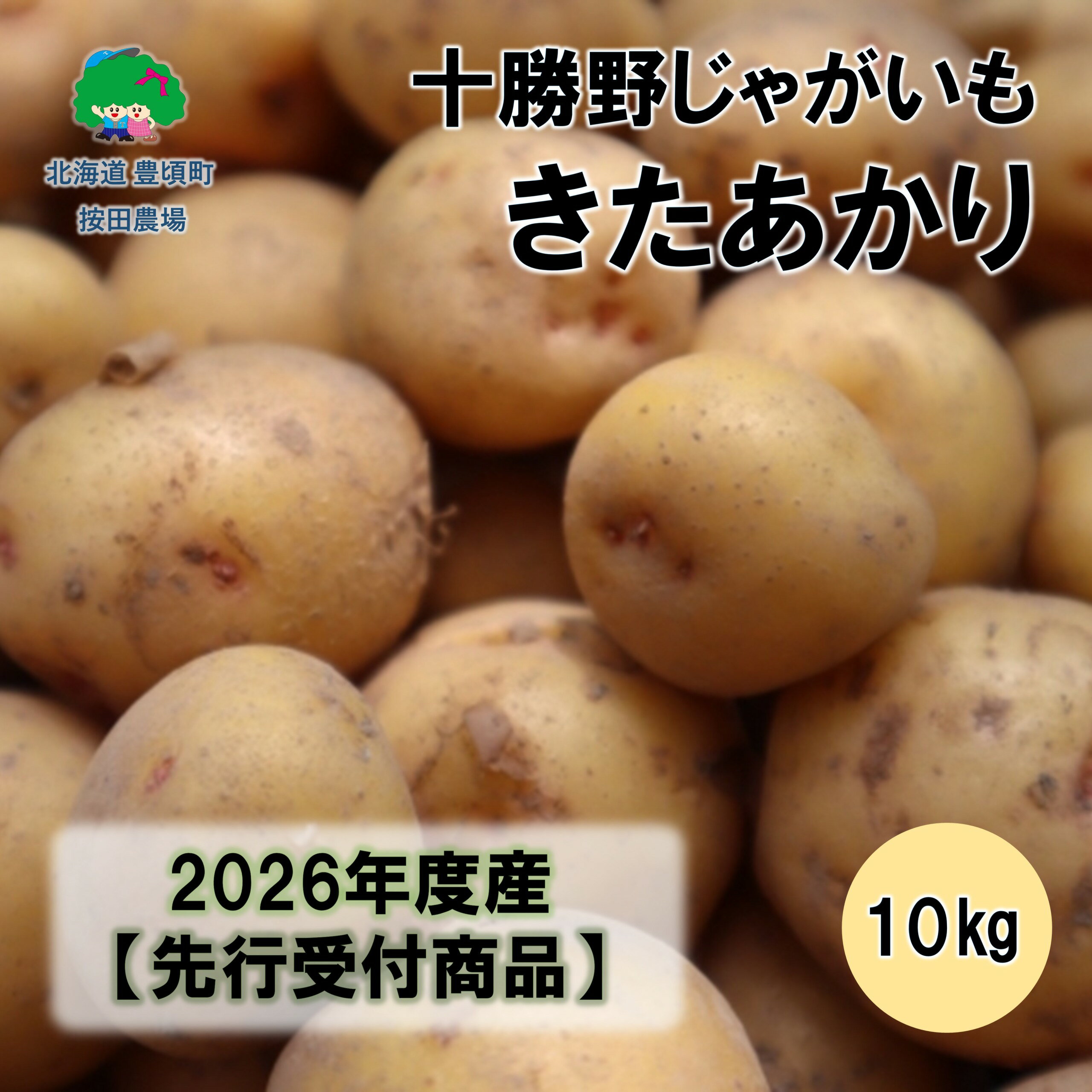 【ふるさと納税】十勝野じゃがいもきたあかり10kg 【2026年秋出荷】（先行受付）［按田農場］"北海道 十勝 豊頃町" 先行予約 予約 特産 農家直送 数量限定 送料無料