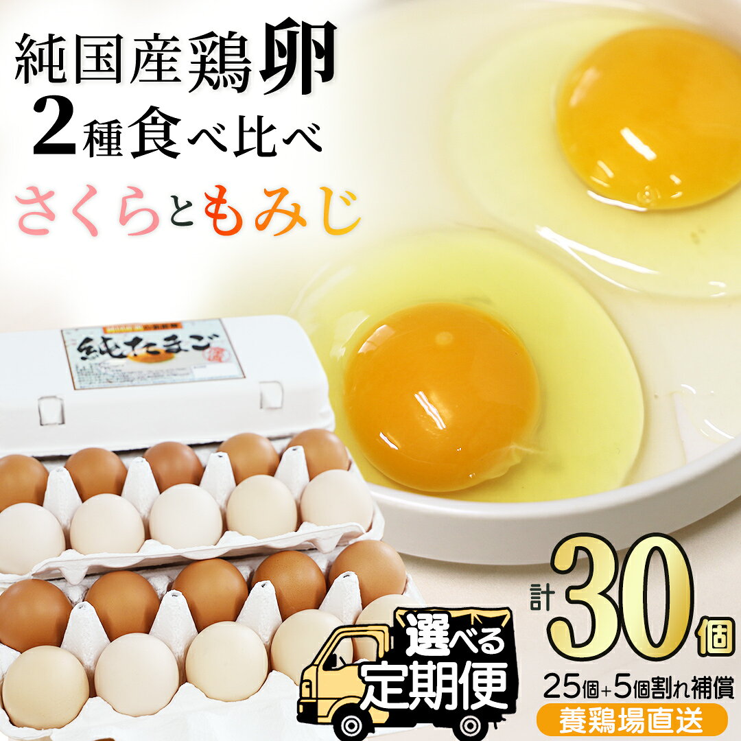 【ふるさと納税】卵 玉子 鶏卵 純国産鶏【さくらともみじ】 ふるさと納税 たまご 純たまご30個 破損保証5個含む 選べる 回数 1回/3回/6回/12回 採れたて 新鮮 卵 農地直送
