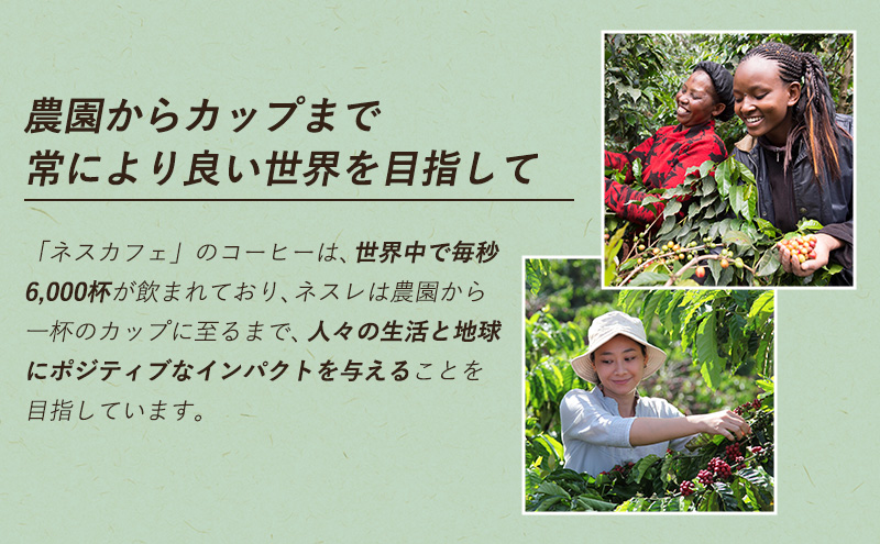 ネスレ日本 ネスカフェ ゴールドブレンド 香り華やぐ エコ＆システムパック【バリスタ詰め替え用】 95g×12個入