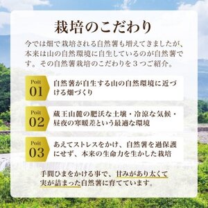 蔵王の雪下自然薯 約1kg【カット・切り芋】ご自宅ご家庭用・とろろもオススメ・処理済み【1674214】