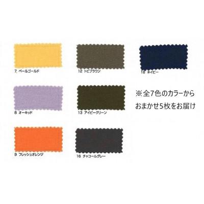 ふるさと納税 与謝野町 【訳あり】 丹後ちりめん接触冷感マスク　カラーおまかせ　5枚セット Lサイズ(男性向け) |  | 03