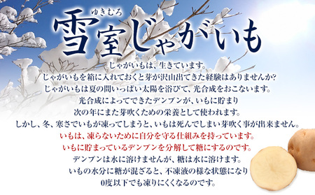 雪室じゃがいも10kg（男爵） 浦幌町農業協同組合 《3月上旬以降出荷》北海道 浦幌町 じゃがいも ジャガイモ 男爵 じゃがバター フライドポテト コロッケ いも 芋 男爵芋 st-p