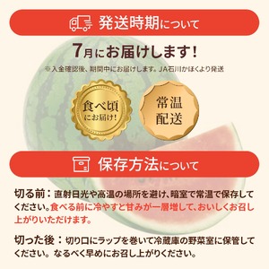 ＜2026年収穫分 先行予約＞大崎すいか 1箱（大2玉入り）|西瓜 甘い