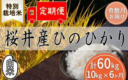 M-JEC1.【白米】桜井市高家産 ヒノヒカリ 10kg×6回【奇数月にお届け】