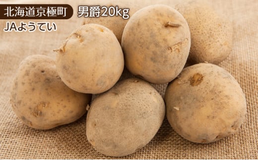 
北海道ようてい産 じゃがいも20kg（男爵）［JAようてい］【 野菜 じゃがいも 20kg 男爵 だんしゃく 料理 北海道 】
