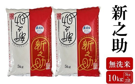 【ふるさと納税】《令和6年産米 在庫限りで受付終了》【五ツ星お米マイスター厳選】新之助 無洗米 10kg（5kg×2袋）[Y0558]【 新潟県 柏崎市 】