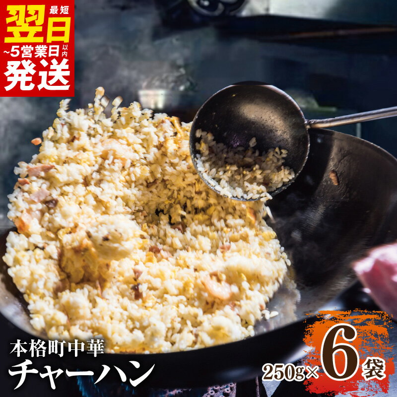 【ふるさと納税】極旨 チャーハン 250g × 6袋 本格 町中華 冷凍炒飯 小分け 簡単調理 6人前 中華 冷凍チャーハン 冷凍 パラパラ 弁当 夕食 夜食 レンジ レンチン 中華料理 食品 お取り寄せ お取り寄せグルメ 大阪府 泉佐野市 送料無料