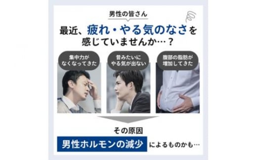 
男性更年期のセルフチェックに!筋トレなどの運動の成果確認に!!【毛髪ホルモン量測定キット～テストステロン～】
