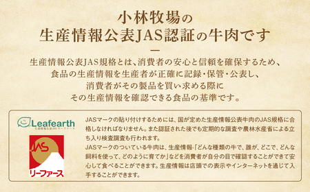 JAS認証 甲州ワインビーフ 定期便【風】 定期便 6回 すき焼き しゃぶしゃぶ 焼肉 小林牧場 甲州牛 国産 赤身 肉 牛肉 ビーフ 切り落とし ステーキ ひき肉 挽肉 サイコロステーキ 肩ロース 