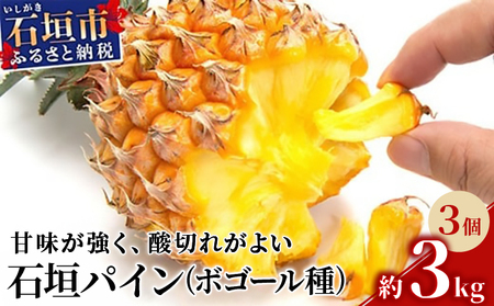 【先行受付】石垣パイン 3個セット ボゴール種【2026年5月初旬～6月初旬発送予定】MI-004