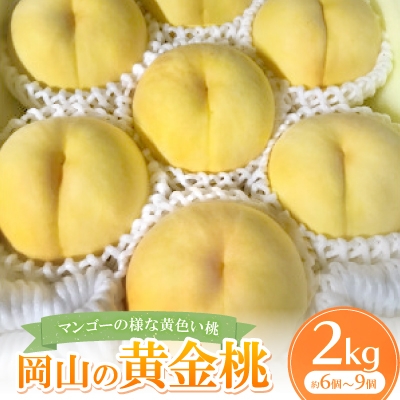 
                  ＜先行予約・2026年8月上旬より発送予定＞岡山県産・マンゴーの様な黄色い桃・黄金桃(2kg箱)【1294300】
                