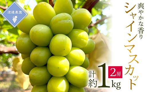 
                  ＜先行予約 2026年発送＞岡山県産　シャインマスカット　2房(合計約1kg)_ぶどう 葡萄 ブドウ シャインマスカット 緑ぶどう 種なし たねなし 皮ごと 約1kg セット 果物 フルーツ 贈答 ギフト 人気 岡山県 津山市 送料無料【1562241】
                