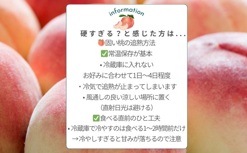 【2026年　先行予約】日本一の産地山梨県産　朝採れカターい桃２Kg（5～8房）｜山梨 フルーツ もも モモ 桃 果物 固い桃 硬い桃