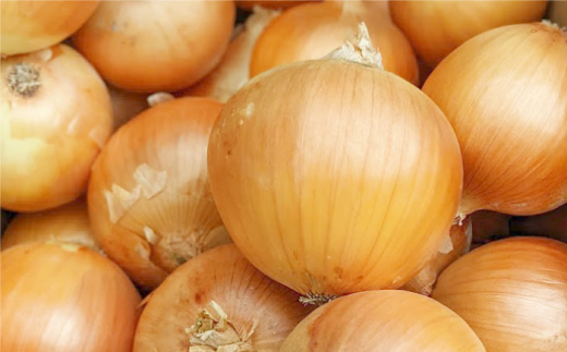 【身体にやさしい！】玉ねぎたっぷりスープセット（5袋分）【玉葱農家 陣内ちひろ】玉ねぎ タマネギ 玉ネギ ドレッシング [IAO006]