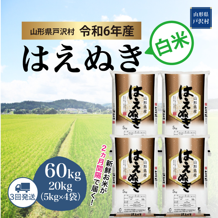 ＜令和6年産米受付　配送時期指定できます＞　はえぬき【白米】60kg定期便(20kg×3回)　戸沢村