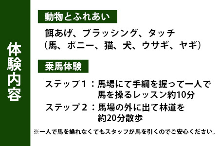 動物ふれあい＆乗馬体験 『わくわくコース』約30分【1名】CC-2