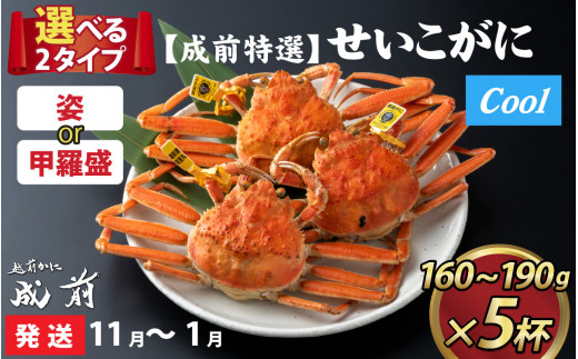 【先行予約】選べる！美味しさ直送【成前特選】せいこがに（160g～190g）×5杯【11月～1月発送】 甲羅盛 [G-028043_07]