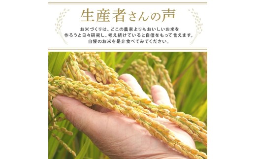 【10kg×3回 定期便】米 こめ お米 コメ 茨城県産 こしひかり コシヒカリ 10kg × 3ヶ月定期便 米 お米 令和8年産 精米 白米 こめ コメ ご飯 10キロ 新米 【有限会社桂農産】【h