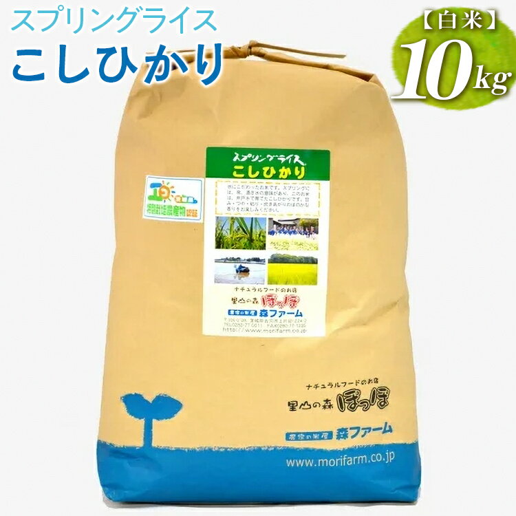 【ふるさと納税】スプリングライス こしひかり (白米)10kg ｜ 米 こめ コメ 10キロ 精米 白米 こしひかり コシヒカリ 古河市産 茨城県産 取り寄せ お取り寄せ ギフト 贈答 贈り物 プレゼント お中元 お歳暮 記念日 お祝 景品 _BI26