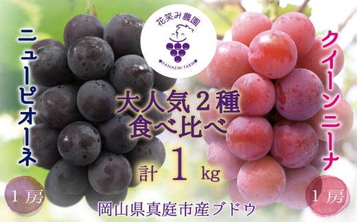 岡山　花笑み農園『ニューピオーネ&クイーンニーナ』1kg(2房) hana31. / ぶどう 詰め合わせ 食べ比べ 真庭市