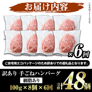 ＜定期便・全6回(隔月)＞＜訳あり＞鹿児島県産黒毛和牛！手ごねハンバーグ(合計48個・100g×8個×6回) 国産 牛肉 小分け おかず 惣菜 個包装 ご自宅用 エコパッケージ 冷凍ハンバーグ【スーパ