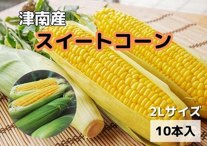 津南町産 朝取りスイートコーン 2lサイズ 10本入（1本約400g）