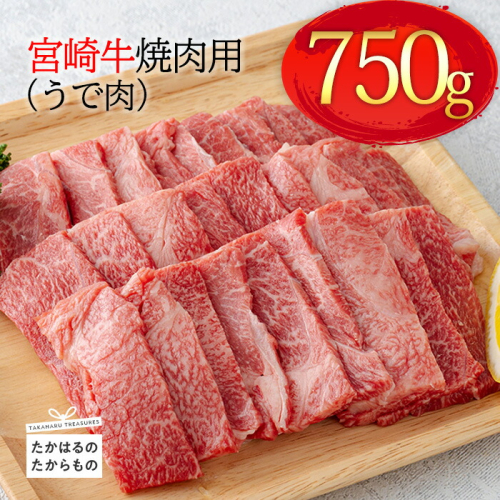 《A5・A4ランク》宮崎牛焼肉用(うで肉)約750g 内閣総理大臣賞受賞の黒毛和牛 [ブランド牛 牛肉 ワンストップオンライン] TF0569-P00012