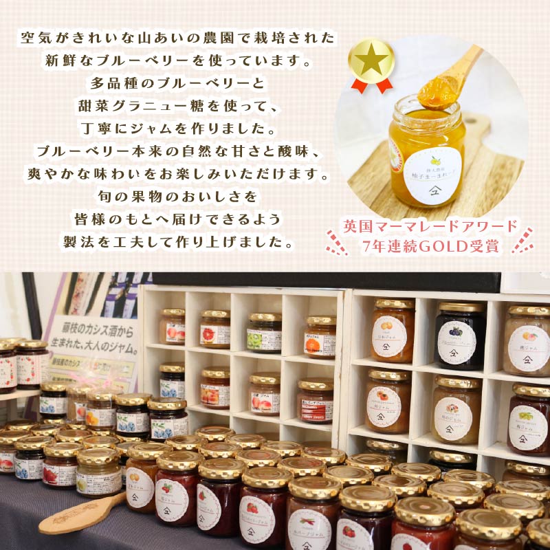 ブルーベリー ジャム 6本 詰め合わせ 無添加 英国 マーマレード アワード 受賞 工房 国産 フルーツ ブルーベリージャム やまゆ スイーツ ギフト 贈り物 季節 静岡県 藤枝市 トースト パン 朝
