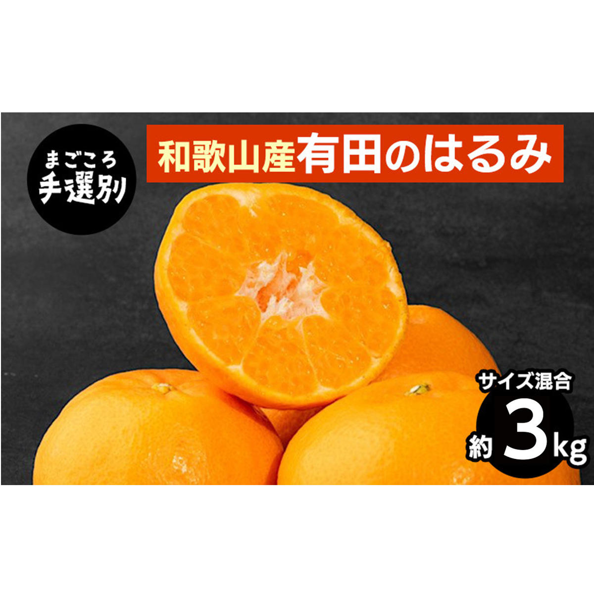 【先行予約】【まごころ手選別】和歌山県産 はるみ 約3kg（サイズ混合）ご家庭用 S～4Lサイズ混合 柑橘