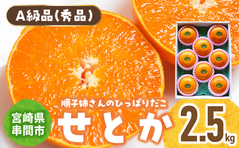 【先行予約】＜数量限定＞＜2027年2月中旬頃から順次発送予定＞《A級品》 順子姉さんのひっぱりだこ愛情せとか 2.5kg 果物 フルーツ デザート スイーツ ギフト プレゼント 贈り物 贈答 プレゼント おすすめ みかん 特産品 柑橘_K029-001